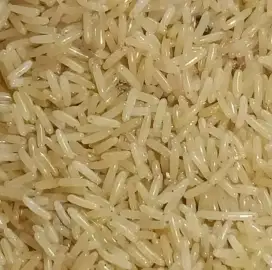Telor Jangkrik Super