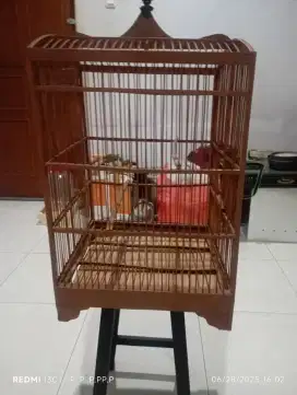 Kandang burung  jual semua