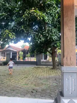 ART Asisten Rumah Tangga (Pembantu) Serabutan Menginap
