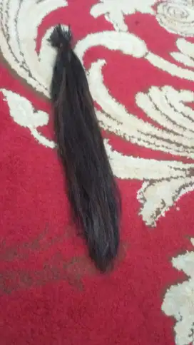 Rambut sambung asli