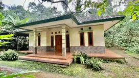 Dijual Murah Rumah dan Tanah Kebun 1252 m2 Pinggir Jalan Purwakarta
