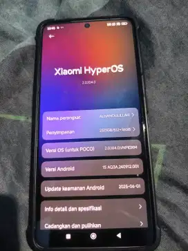 Poco F6 RAM 12/512GB Fullset