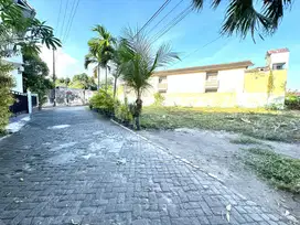 Tanah Samping Kampus UGM, Lingkungan Kos, Cafe Homestay