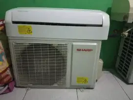Ac sharp 1/2 pk