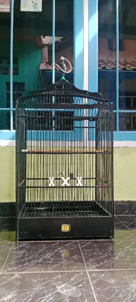 sangkar oriq no 1