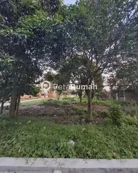 DIJUAL TANAH JALAN PERINGGAN DUSUN XVI - TEMBUNG