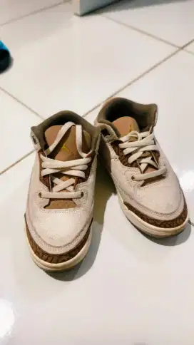 Sepatu air jordan anak