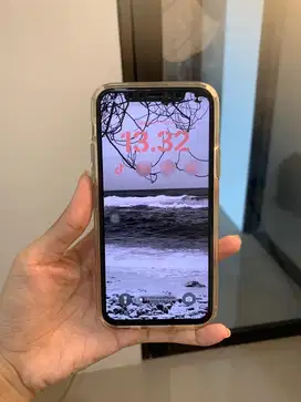 Iphone 11 pro 256 [silver]
