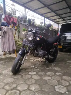 Megapro stroke up std tiger