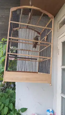 Jual kapas temba