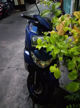 Freego ban baru semua km 20 ribuan pajak hidup ( wa saja )