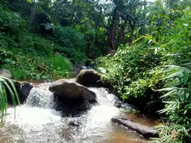 Tanah kebun pinggir sungai pinggir jalan desa masuk mobil 