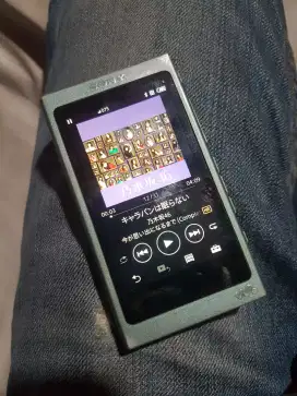 Sony walkman NW-A45