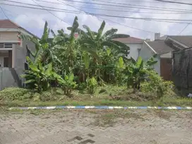 Tanah Murah Kahuripan Nirwana Sidoarjo