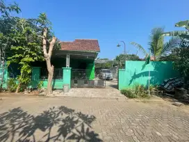 Murah dijual tanah bonus rumah cocok untuk dibangun kos undiptembalang