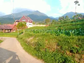 Tanah shm pinggir jalan sangat cocok untuk vila dan rumah