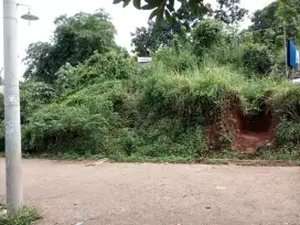Di jual cepat kebun tanpa perantara