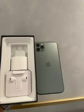 iphone 11 pro max 256gb rasa green