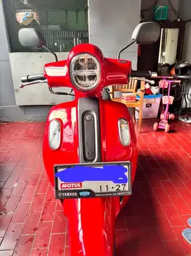 Fazzio merah 2022