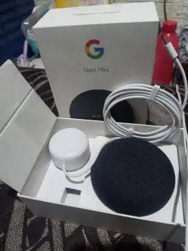 Google nest mini 2nd