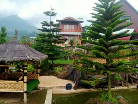 Dijual villa dikawasan wisata full furnished sudah berjalan disewakan