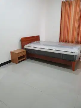 Dijual Dipan jati minimalis dan springbed