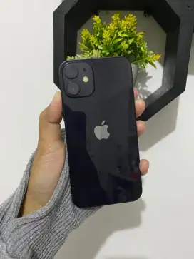 iPhone 12 Mini Murah - Terdaftar Bea Cukai
