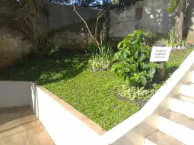 Jasa perawatan taman rumah