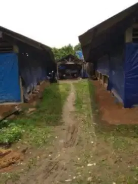 JUAL KANDANG AYAM SIAP PAKAI GN DINDUR