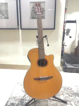 Gitar Yamaha Ntx1 Series Clasic Elektrii