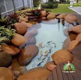 Kolam ikan koi natural terdekat dan taman