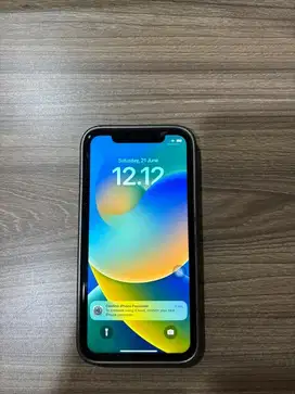 Iphone 11 128 GB mulus
