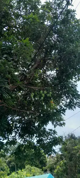 JAGA KOSAN yang bisa pasutri