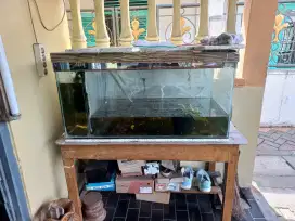 Aquarium ikan hias