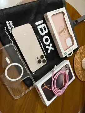 iPhone 16 Pro Max 256GB iBox Garansi ON - 13 Apr 26