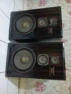 Speaker AKARI Box Technics 10 inch