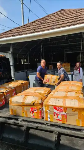 Produsen Daging Durian Medan Tangan Pertama