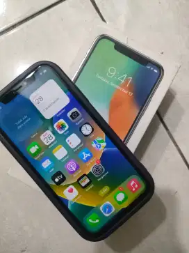 iPhone x 256gb all operator