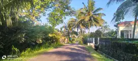 Di jual Tanah Istimewa Cocok Bwt Usaha Di lingkungan wisata Turi
