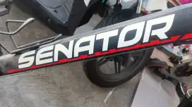 Senator mtb 27,5