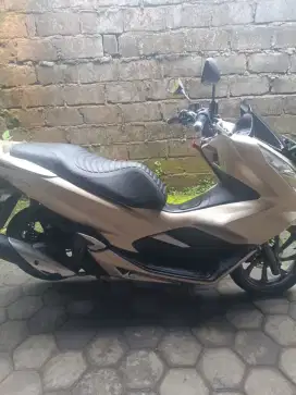 PCX Gold Edition Rare