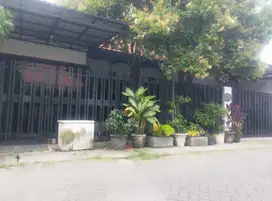 Rumah murah Jalan Manyar dekat Raya Kertajaya, pucang Anom, Ngagel