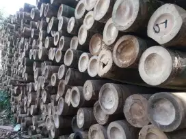 Jual bambu dan juga kayu papan kaso2