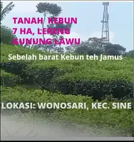 Dijual tanah kebun luas di lereng gunung lawu