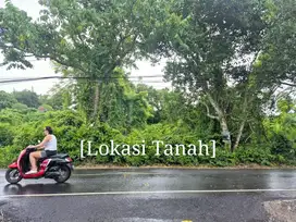 Tanah Potensial di, Jalan Belimbing Sari, Pecatu