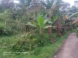 dijual tanah di perbatasan cisauk