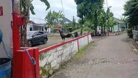 TANAH ISTIMEWA DILINGKUNGAN PERUM