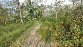 Dijual tanah di sentul
