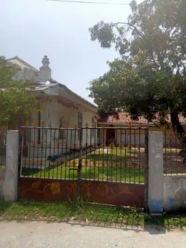 Dijual Tanah & Rumah di Mekar Baru, Tangerang