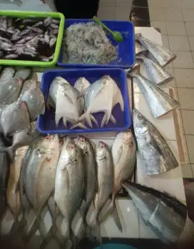 Ikan laut / tawar / tambak fresh untuk rumahan restoran warung hotel